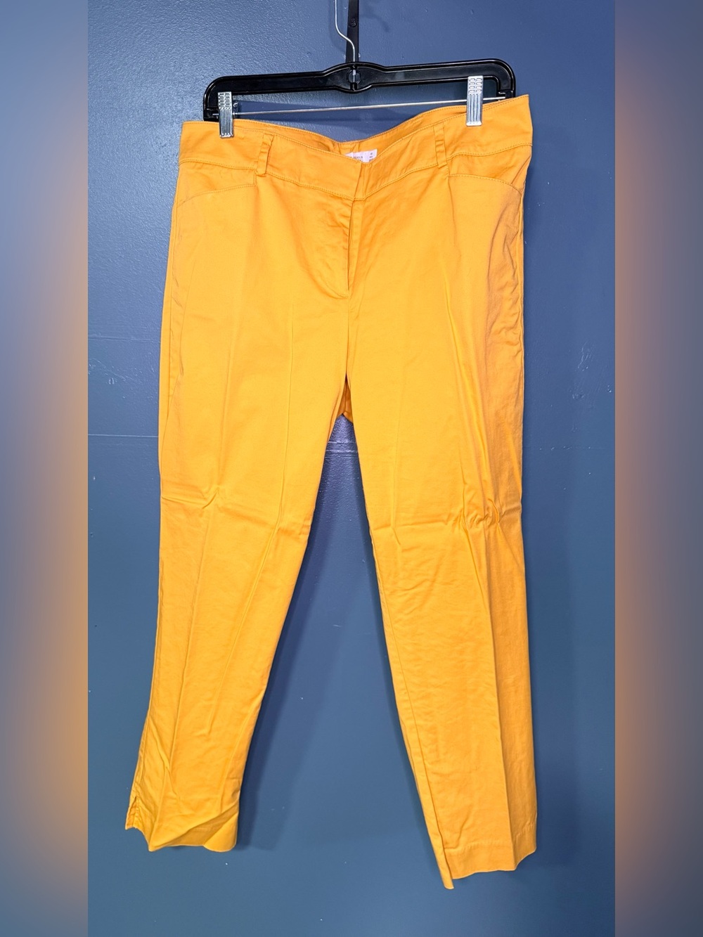 New York & Company 7th Avenue Golden Yellow Trousers